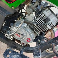 ستوتة • موديل٢٣ • أوراق أصلية