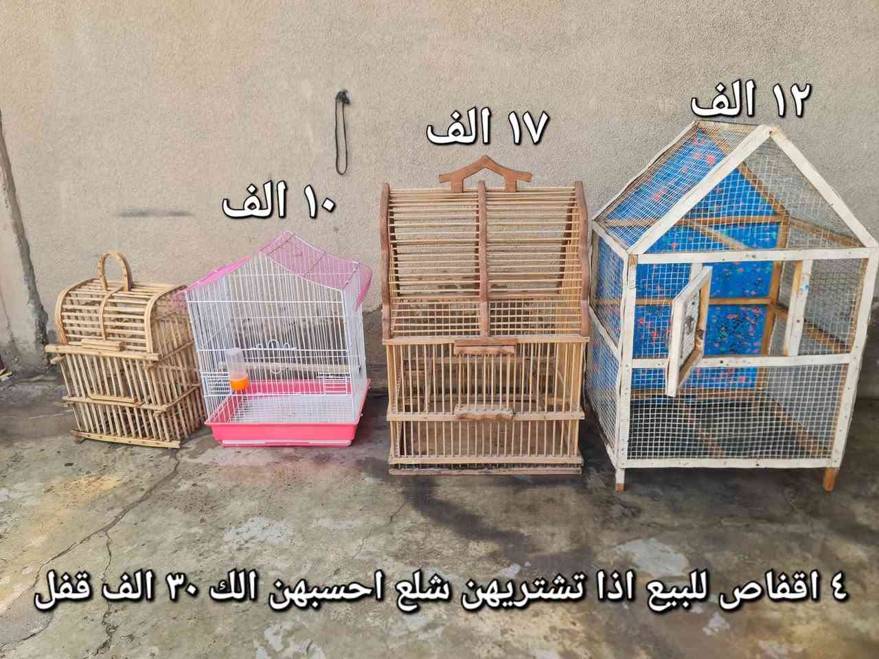 تفاصيل بالصور مكاني ساحة الاحتفالات


**إذا كنت صاحب هذا الإعلان وتريد حذفه لأي سبب، رجاءا أرسل رسالة إلى الدعم الفني**