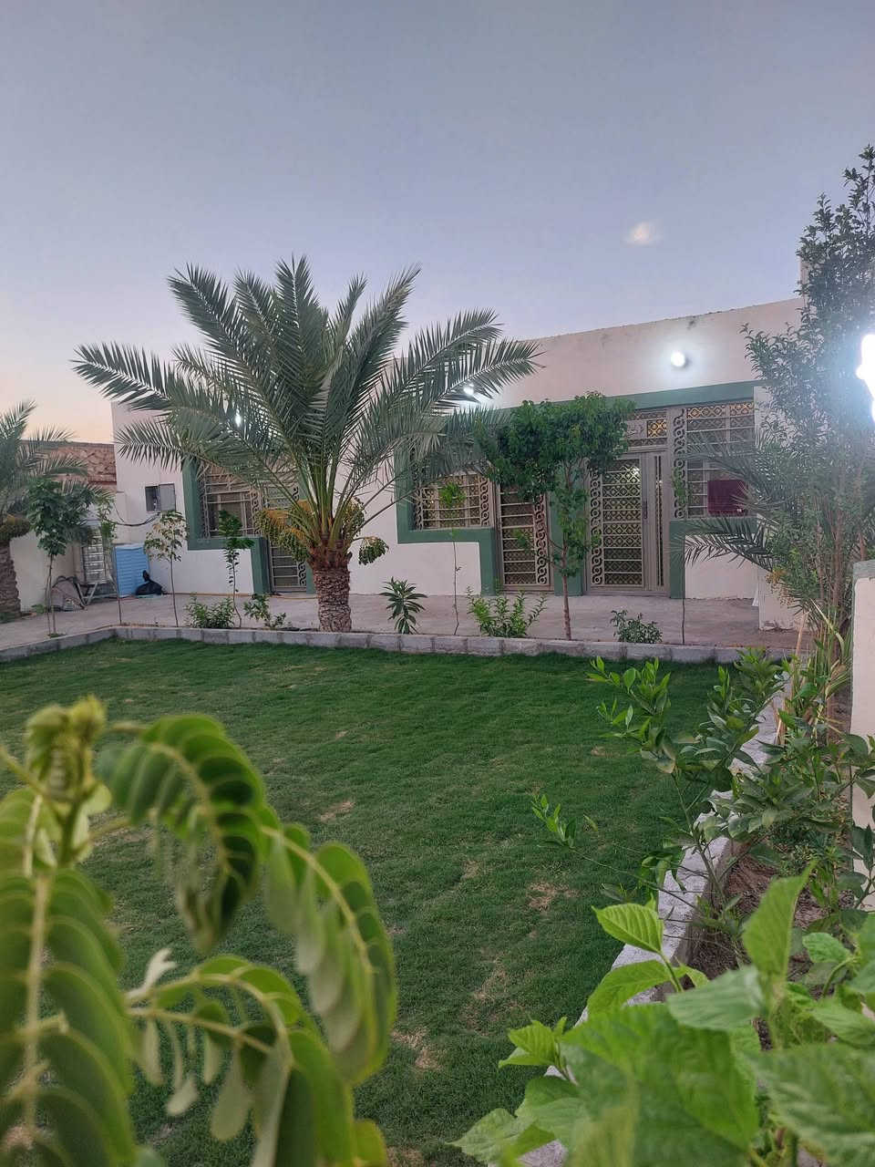 مزرعة للبيع فقط لا مراوس ولا اقساط في النجف    السعر ٨٩ مليون 
المساحة ٢ دونم و٤٠٠ متر 
تحتوي على دار بناء جديد مساحة البناء ٣٥٠ متر مشمول بالتطويب على قرار ٣٢٠
تحتوي على ١٨٠ نخلة حمالة واشجار ضليه وبير ماء ارتوازي مسيجة بي ار سي 
تتوفر كافة الخدمات كهرباء ماء اساله خط مولده مدارس ابتدائية ومتوسطة واسواق تصلح للسكن 
العنوان النجف الاشرف المناذرة عمود ٨٠ قرب جسر المشات للإستفسار اتصل 
***********
