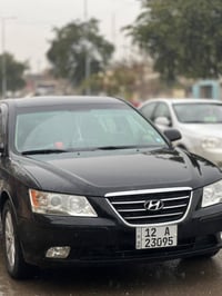 سوناتا • ٢٠٠٩ • ضرر خلفي