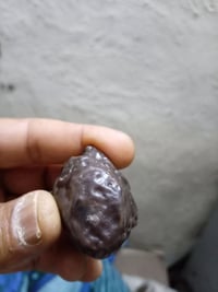 حجر سلطاني مصور  صوره واضحه معروض للبيع طبعن  شكل رهيب وقطعه اكثر من ف...
