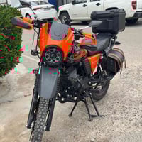 دايون • ٢٠٢٥ • مكفول