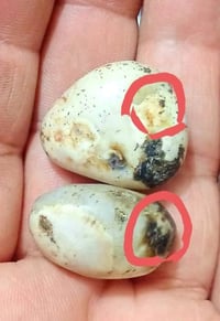 عطور سليماني • طاقة روحانية • محبة عامة