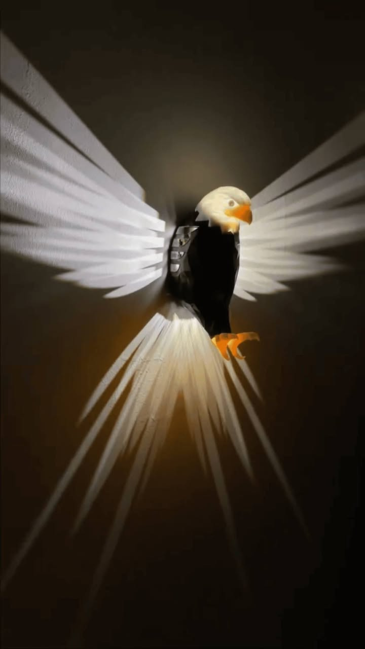 قطعتين براكيت نسر ضوئي
تحكم ريمونت بالوقت والتشغيل والاطفاء
للحجز ***********
