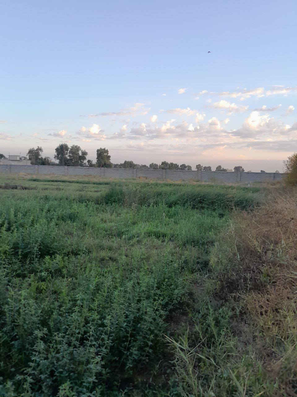 ارض دونمين ونص عقود زراعية مزروعة جت مبستنة مع بيرين صوندة ماي اسالة كهرباء كاملة الخدمات للتواصل ***********
