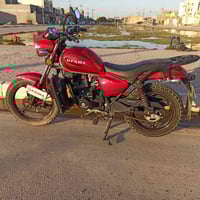 دراجة • أوراق جاهزة • واسط الزبيدية