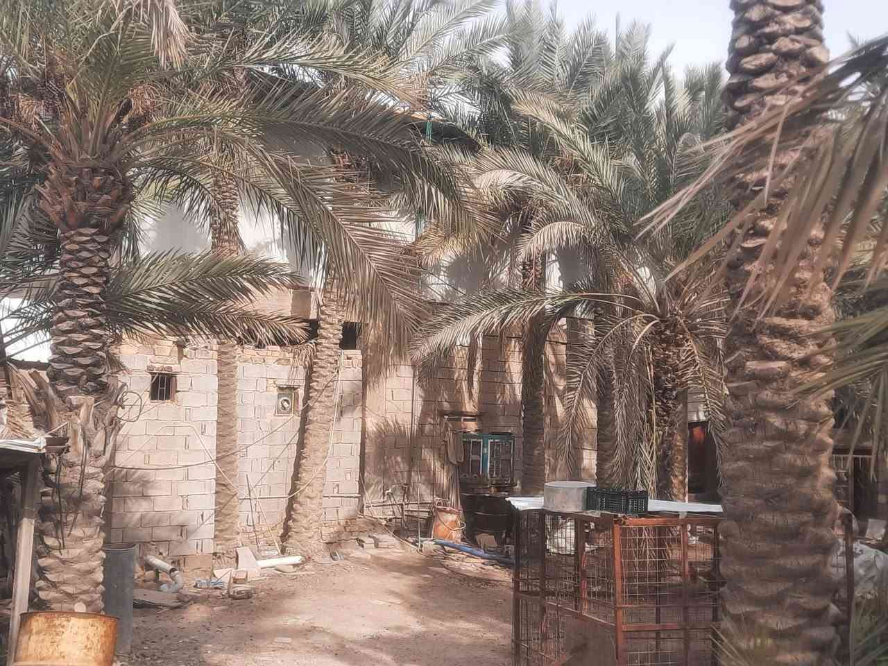 السلام عليكم للبيع بيت طابو زراعي سند 25تحويل بسم المشتري البيت طابقين مساحة البناء ٤٠٠متر المساحه الكليه 1500يحتوي على محلات وبيت ثاني متوفر بيه كافة الخدمات ماء واكهرباء والتبليط اباب البيت مكانه خلف جامعة بابل منطقة ابراهيم الخليل لاستفسار لاتصال على ***********
