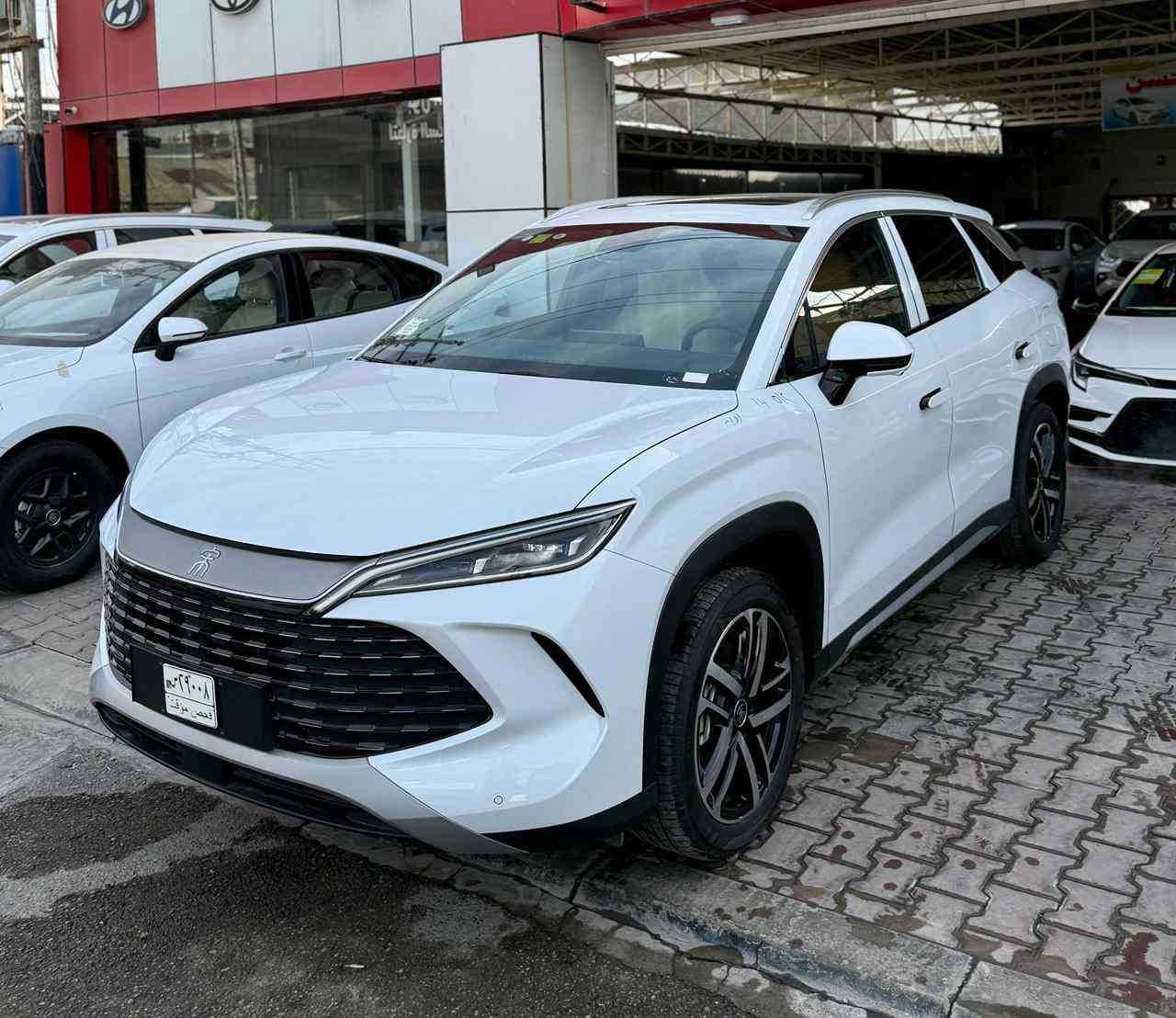 تتوفر في شركة ريتاج لتجارة السيارات
 كافه انواع السيارات BYD 🔥 
 ملحقات كامله 

سونك بلاص 2025 ابيض 

سونك L  ابيض 2025 كرسي 1 كهرباء

سونك برو 2025 ابيض / داخل بيجي
فول مواصفات /بانوراما 

جن L داخل بيجي لون ابيض 2025
13 كاميرا / متوفر قماره حديد + بانوراما

سيل 05  2025 ابيض ويل كروم
سيل 05 2025 ابيض ويل اسود

ديستروير 2025 ابيض ملحقات كامله 

جن بلاص 2025 ابيض / داخل بيجي 

📍العنوان - معارض البياع - الشارع الرئيسي

للاستفسار عن الاسعار الاتصال او  واتساب 
***********
***********
***********
***********
