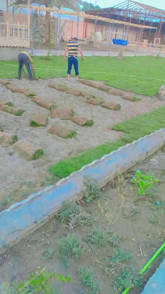 توصيل مجاني لجميع المحافظة سعر حسب الكمية والمكان ***********او‏‪***********‬‏
