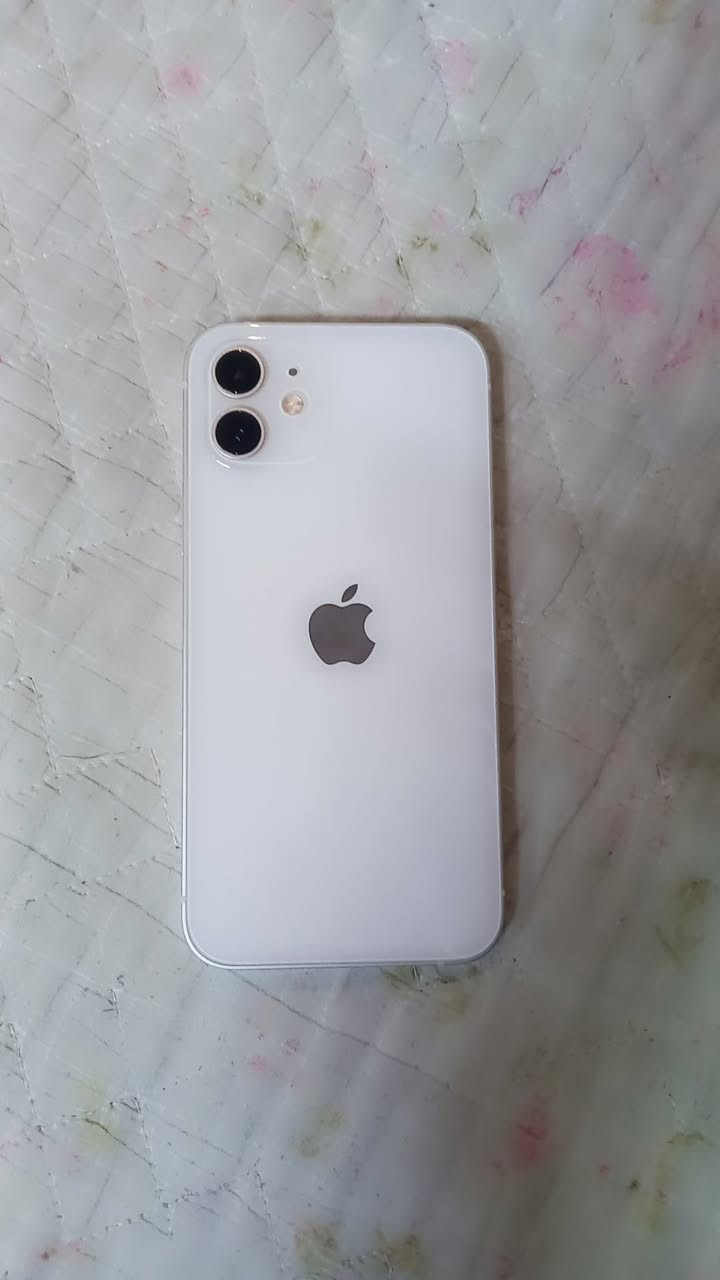 ايفون ١٢عادي لون ابيض ذاكره ١٢٨بطاريه ٨٩ النضافه ١٠٠جهاز وتر بروف ما مفتوح وكاله كلشي شغال سمكارت سماعتات فيس ايدي كشي شغال السعر ٣٥٠وبي مجال حك الجيه النعوان بغداد حي اور


**إذا كنت صاحب هذا الإعلان وتريد حذفه لأي سبب، رجاءا أرسل رسالة إلى الدعم الفني**