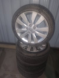 تخم ويل كب سيراتو للبيع بسعر 250الف بغداد الشعب 07705170249