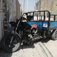 ستوته • اوراق ضايعه • زيتون