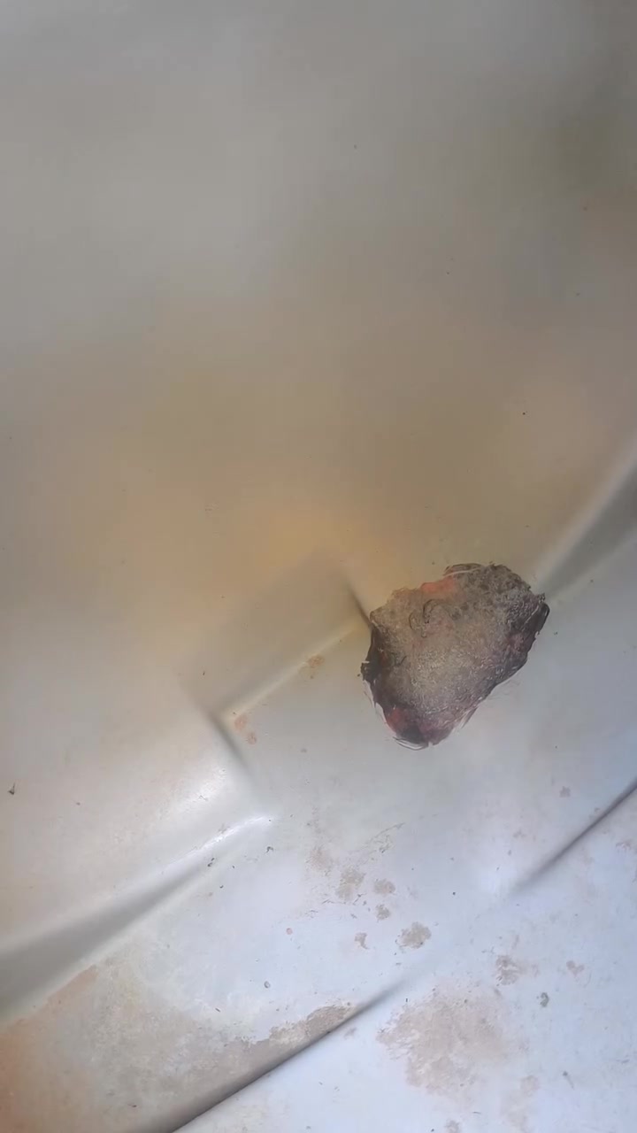 مقطوره نص طن نضيفة البيع بسعر مناسب جاهزه لترس ماي ما بيها اي شي جانت بيها بط صغير وصلحتها مكاني قضاء المدينة وتساب وتصال ***********
