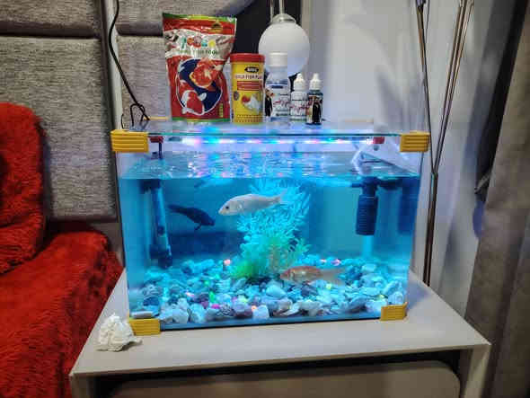 سلام عليكم
للبيع حوض كامل معه السمك
واكل وقطرات السعر ٥٠ لف
مكاني بغداد حي العامل
اتصال على هذا الرقم ***********
