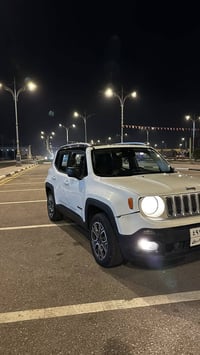 رنجيد لمتد • ٢٠١٧ • رقم اربيل