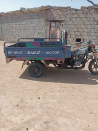 ستوته • فحل • موديل ١٧