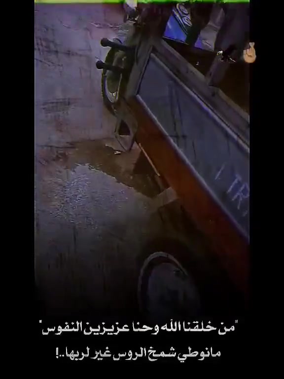 سلام عليكم ستوته للبيع انتيار كهربايات كله شغاله كل نقص ما بيه مكينه جديده مكاني ناصريه مركز  ستوته اوراق اصولي مديل 11مكاني ناصريه مركز ارجوك بس الشراي يطب خاص السعر خاص
***********
سلام عليكم ستوته للبيع انتيار كهربايات كله شغاله كل نقص ما بيه مكينه جديده مكاني ناصريه مركز  ستوته اوراق اصولي مديل 11مكاني ناصريه مركز ارجوك بس الشراي يطب خاص السعر خاص
