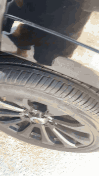 كديلاك اسكاليد  بلاتينيوم  اعلى فئه وكالة المنصور  خليجي  موديل 18

افخم سياره من ناحية القياده 

السياره اعلى فئه بالمواصفات

تخم تايرات جديد وكاله اصلي  

الكشنات

كهرباء 

خزن 

تدليك مساج

كشنات جلد بيجي خليجي

تدفأه تبريد 

سماعات بالكشن 

حساس خلفي امامي 

رادار ٣٦٠ درجه 

اتو بارك 

داتا شو 

هاندبريك اوتو 

اوتو هولد 

خمس كامرات 

خمس بصمات 

شاشات خلفيه 

نفكيشن 

لايت ليزري 

دوسات كهرباء 

سقف شامو وفتحه كهرباء

ستيرن كهرباء وخزن وتدفأه 

شاحن وايرلس

ثلاجه 

المحرك ٨ سلندر 

كير ١٠ نمر 

الجنطه كهرباء

ماشى ١٠٩

كل غراض السياره موجوده

والهدايا كلها موجوده 

مكان السياره بغداد 

سيارة حيل نظيفة كلشي عل بلاد لوك

باسمي السنوية

سيارة مابيـها دينار مصرف كامل من كل نواحي

سعر بيع او مراوس حسب القناعه 

والله لو مامحتاج افلوس مابيعها40

***********
