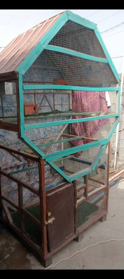 قفص للبيع السعر 65
الحصوه


**إذا كنت صاحب هذا الإعلان وتريد حذفه لأي سبب، رجاءا أرسل رسالة إلى الدعم الفني**