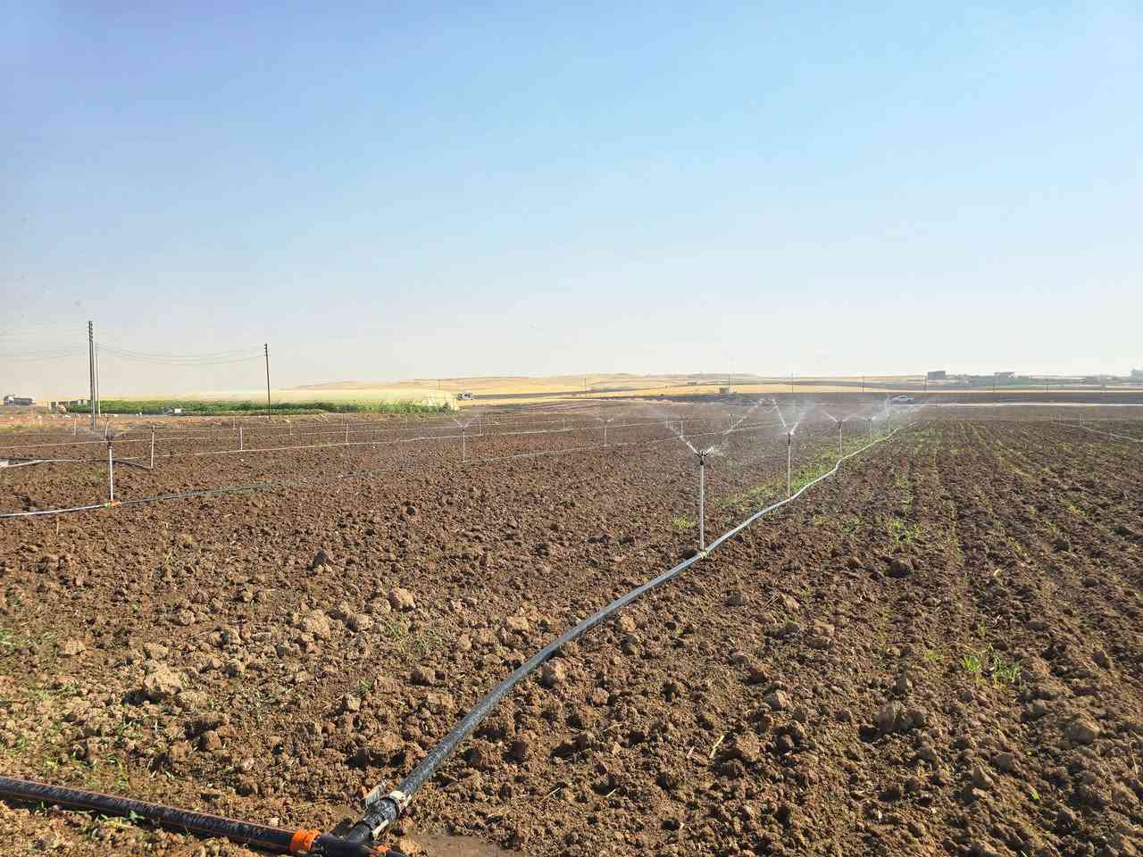 تحية طيبة لكل متابعينا 
  تنصيب غطاس 10 حصان
 🌞🌞منظومة ثابته للطاقة الشمسية           زراعي 
كلك/ قريه مجيديه 2026\7\17
تتكون من 🔦
الواح شمسية 🔦 عدد 26 سعة اللوح650 واط بايفيشل     🧧🎖🏆
على شكل 2 سلاسل كل سلسة 13 لوح 
بورد DCمتكامل من قواعط دورة مع فيوزات مع مانع صواعق 
تركيب ارضي للمظومة 
تمديد   الكيبلات تحت الارض في تري كيبل للحفاظ على الكيبلات 
انفيرتر  15🔦📟📟
ضمان حقيقي  سنة كاملة تحت شروط الضمان 
للتواصل و الاستفسار  
زيارة مكتب سرمد الطاقه الشمسيه  
              ناحيه الكوير 
 *********** سرمد
 ***********
مدير صيانة.***********
مدير الفني   ***********           
مدير صيانة. ***********
📞 ☎️☎️
موصل
***********
 ***********
مع (( مكتب  سرمد الطاقه الشمسيه  ))
             @دائما تقدم لك الافضل
