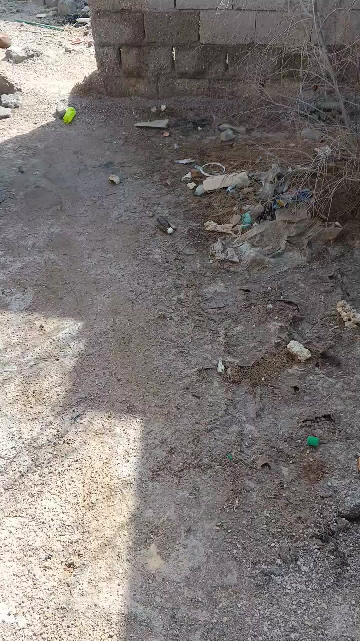 بيت غير كامل حواسم للبيع في منطقه التميميه من نزلت سجاد الصباغ السعر مليون وسبع مئه وخمسين ألف الاتصال على هذا الرقم ***********
