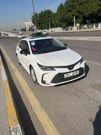 تجميع صيني • ٢٠٢٤ • قطعتين صبغ