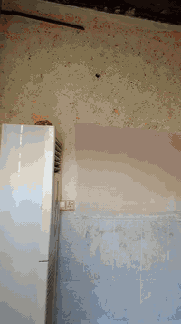 سلام عليكم متابعينا الكرام مادة اخفاء السيراميك معه الطلس وصبغ سعر المتر ٨٠٠٠ كرزته وعمل بابل لتواصل ***********
