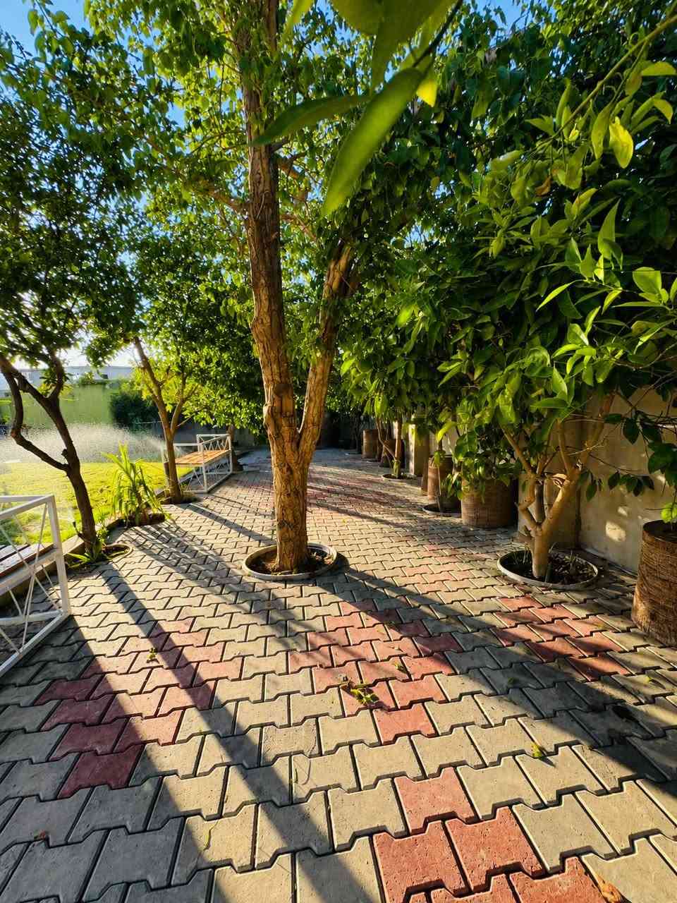 🌿 كادر حدائق – الزاب 🌿
نحوّل المساحات إلى حدائق تنبض بالجمال والحياة.
🔹 خدماتنا: ✅ تصميم وتنسيق الحدائق المنزلية والعامة
✅ زراعة الثيل الطبيعي والأشجار والنخيل والزهور
✅ تنفيذ الممرات والديكورات الحجرية
✅ تركيب أنظمة الري بالرش والتنقيط
✅ إنشاء وتنفيذ المسابح
✅ تصميم وتنفيذ النوافير والشلالات
✅ تنفيذ جلسات خارجية ومشاوي (منقل)
✅ بناء تنور طين بالطابوق الحر حسب الطلب
✅ صيانة وتأهيل الحدائق
📍 الموقع: الزاب
📞 للاستفسار والحجز: ***********
🌱 خبرة في التنفيذ، جودة في العمل، والتزام بالمواعيد.
#كادر_حدائق #تنسيق_حدائق #الزاب #المسابح #النوافير #الشلالات #تنور_طين #منقل #جلسات_خارجية #الثيل_الطبيعي #العراق
