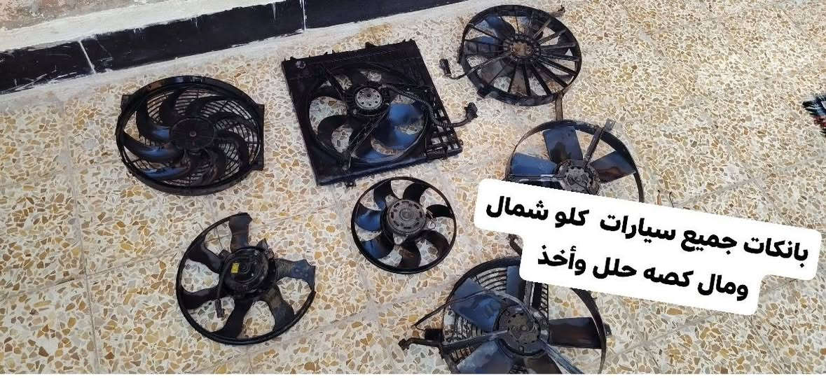 ***********
***********
