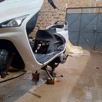 فراشه • مامفتوح • ويل رياضي