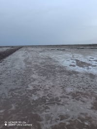 أرض زراعيه للبيع ( ٦ دوانم ) قريبه ع الشارع وقريب عليه الماء وخطين كهر...