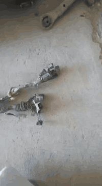 السلام عليكم
ضفيرة بطة اثنين ونص ٣ خطوط الكير
والثانية ٣٠٠٠ ثمان خطوط الكير.
السعر الوحدة ١٢٠ 
واسط النعمانية 
للإستفسار 
***********
