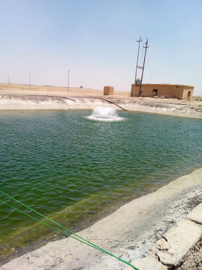 للبيع مساحة 210 دونم طابو ملك صرف الدونم 8 مليون ماجره بالموسم ب35 مليون سنويا وقابله للزياده للاستفسار الاتصال على الرقم ***********
