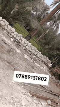 خدمات • بدون تفاصيل