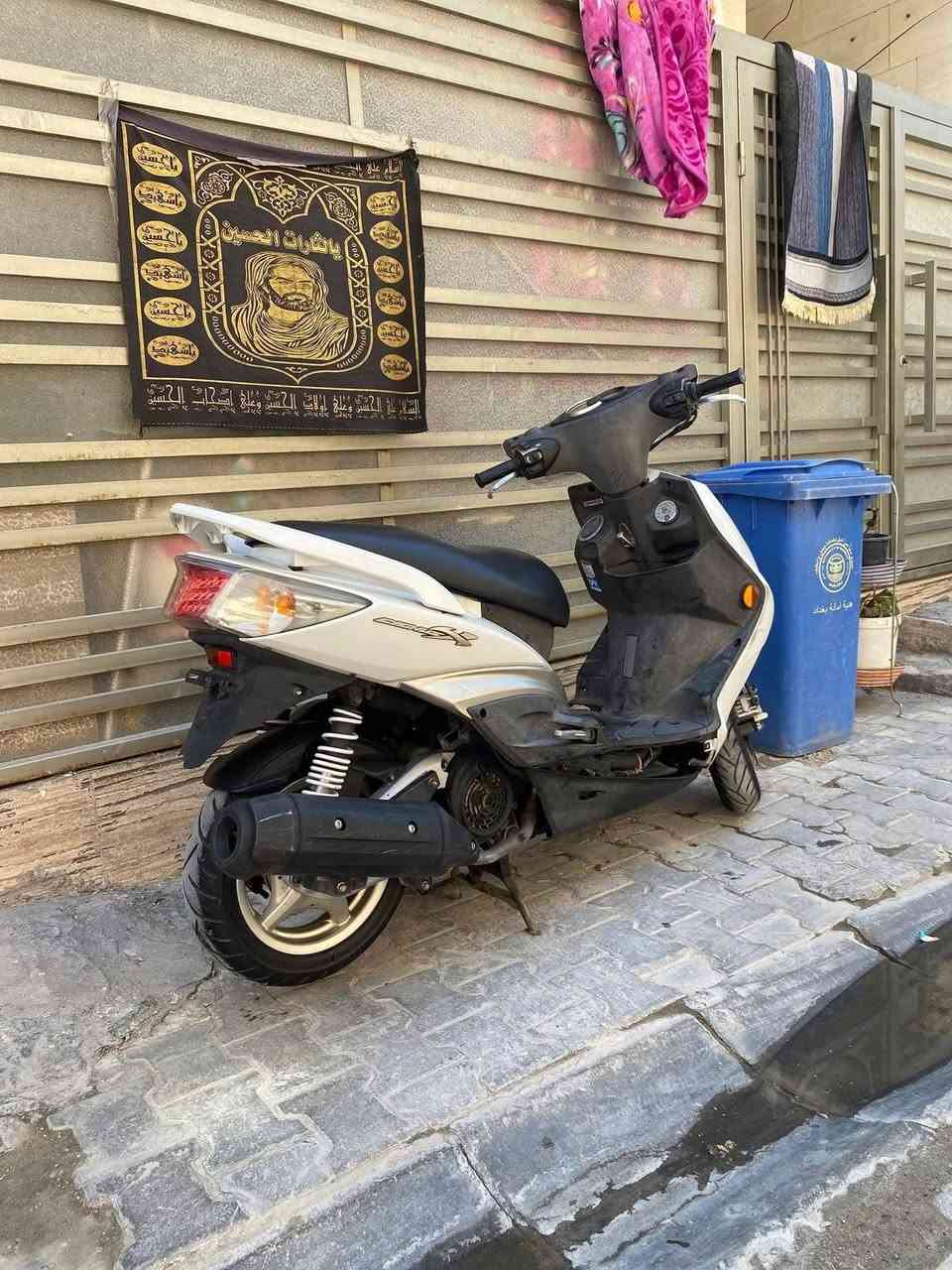 سلام عليكم

سكنس فحل طلاعات دراجه مكفوله واستخدام شخصي وبسيط عدا ترايش من اخذتها من رمبه بيها نقص ترايش وشديت الها ترايش دراجه خير من الله نگره وما متعوبه ابد عايفها شهرين واشتغلت نگره 

سعر خاص 

مكاني / بغداد / البنوك حي سومر

الرقم / ***********( واتساب)
