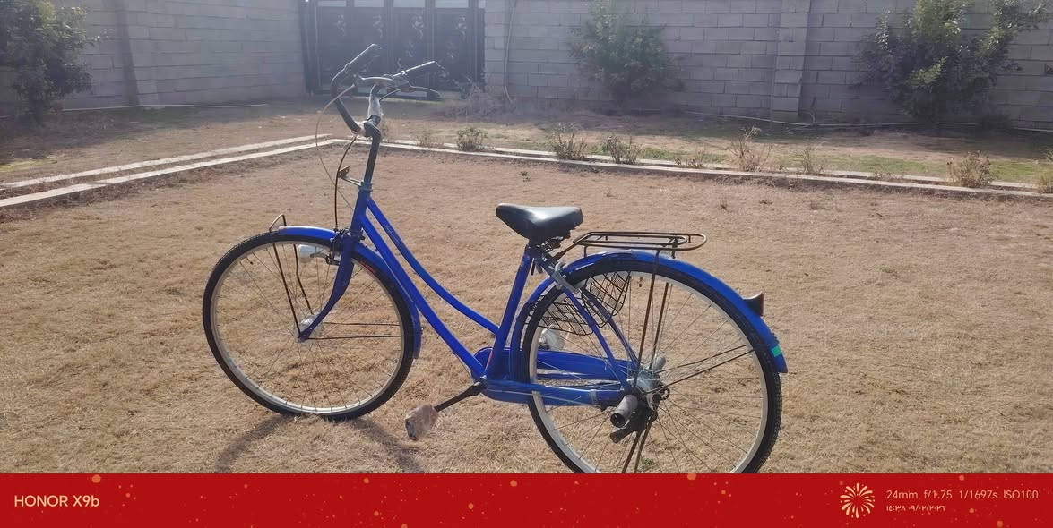 سلام عليكم ورحمة الله وبركاتة بايسكل للبيع نضيف جدن كامل بريكات تايرات جدد السعر 125
وبي مجال التصال للستفسار ***********
