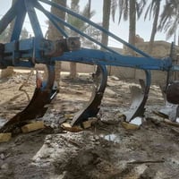 فدان • حجم 12 • الديوانية السدير