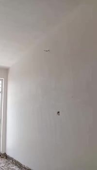 بغداد الدورة • جص وبورك • درجة أولى