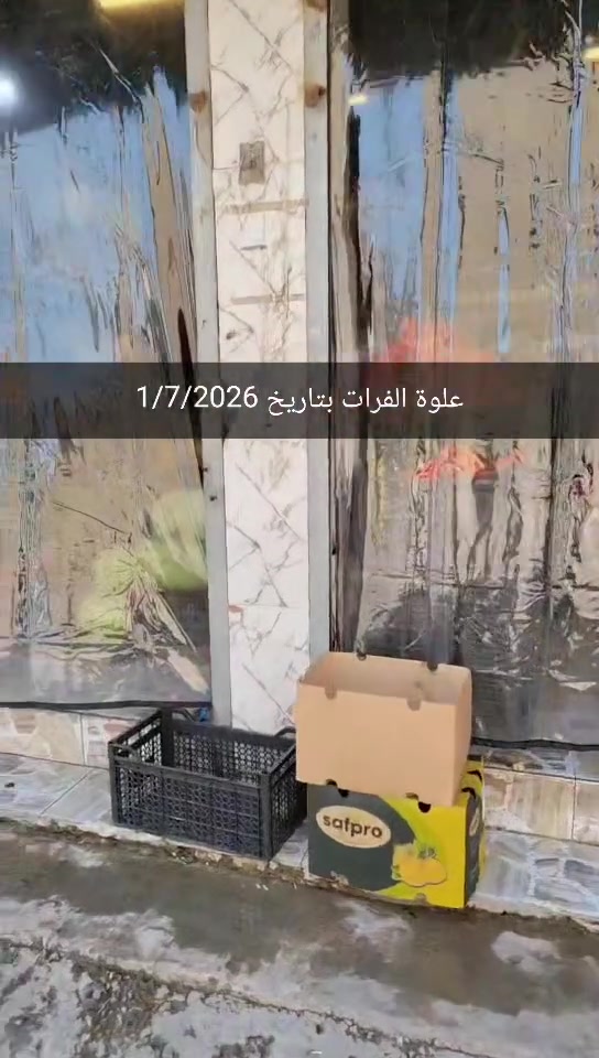 كميات خير من الله لحك الاسعار 👇
مع علوة الفرات لاتحتار وفرنالكم فواكه ومخضر درجة اولى  وبأنسب الاسعار تاريخ 1/7/2026 جملة او كيلوات تجهيز مطاعم ايضا باسعار الجملة 🤞
علوة الفرات مدخل الفرات حسينية المصطفى 
حياكم الله تشرفونا 
للاستفسار ***********
توصيل موجود لباب بيتك 
الدوام من 6 صباحا الى 10 ليلا

اسعار اليوم قسم  الخضار ؟

خيار  مائي 750  دينار
خيار طعروزي.     3 كيلوات 2000 دينار
بيتنجان اسود عراقي     3 كيلوات ب 2000 دينار 
بصل 3 كيلوات      2000 دينار
بتيتة 3 كيلوات.     2000 دينار
طماطة 5 كيلوات.   2000 دينار 
لهانة   750 
قرنابيط      1000 دينار 
فلفل حار 1000 دينار 
شجر ناعم 1000 دينار 
بانية بترة 2500
لوبية 2000 
ثوم 250ج دينار 
جزر 1000 دينار

اسعار قسم الفواكه 
تفاح عراقي كبار 1250
تفاح احمر 1000
عرموط 1500
الو احمر عراقي 2000 دينار 
برتقال مصري 1500
عنب 1500 وعندي 1250
موز 1500 
مشمش 2000
كرز 3500

ليمون 2500 
بطيخ درجى اولى عراقي  750  الكيلو 3 كيلوات
 ب 2000 وعندي الكيلو 1000
ركي 650 عل سجين وعل ذوق

قسم المخللات 
خل درجى اولى 1000 دينار
بطل ليمون 1500
طرشي بيتي نص كيلو مشكل 2000 دينار
طرشي بيتي خيار ربع كيلو 1000 دينار
طرشي معمل علب اصفر او اسود او وشونذر 1500

اخوان مخضر وفواكه جاي نوفرها درجى اولى شوفت عينك
اول بأول
