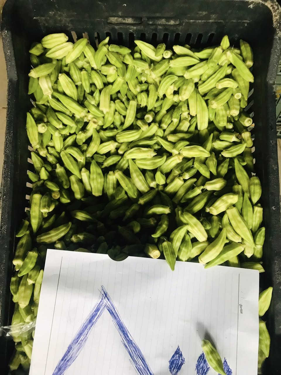 ماشالله بقاله الديوم الاولى مسواك يوم الاثنين 
يم ملعب الديوم  يوجد خدمات توصيل اتصال على رقم ***********
