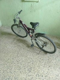 باسكل • للبيع • تواصل خاص