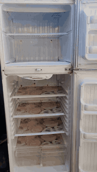 ثلاجه بس غلاف نضيفه السعر 35الف الغزاليه


**إذا كنت صاحب هذا الإعلان وتريد حذفه لأي سبب، رجاءا أرسل رسالة إلى الدعم الفني**