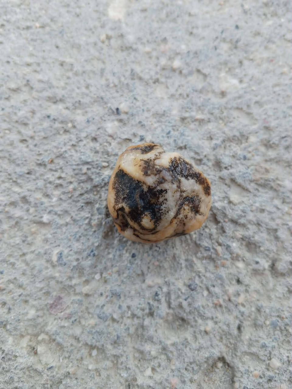 سولف سعرك، عنوان بصرة ابو الخصيب توصيل داخل ابو الخصيب فقط


**إذا كنت صاحب هذا الإعلان وتريد حذفه لأي سبب، رجاءا أرسل رسالة إلى الدعم الفني**