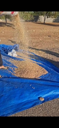 ١٥ كيلو • نۆکە • بالمجموع