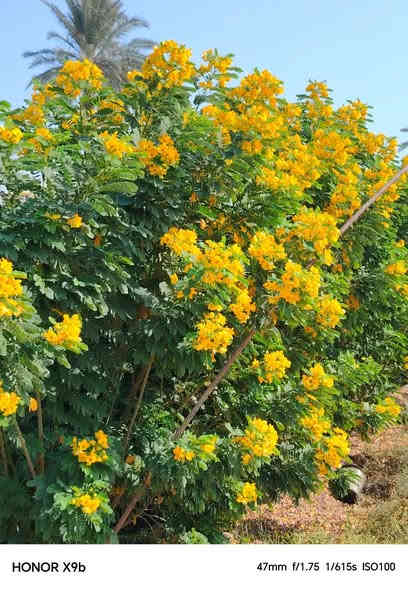 🌹🌹مشتل الأخوين 🌹🌹
السلام عليكم ورحمة الله وبركاته
تم وصول وجبه جديده من النباتات 
ويوجد كافه انواع السنادين

ومختلف الأنواع من نباتات الزينه والنباتات المثمره❤
مشتل الاخوين(ابو وليد) قرب مدرس الأندلس 
الاستفسار متواجدين على الفيس بوك 
ابو وليد ***********
