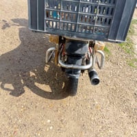 فيوم • نضيف • شرط