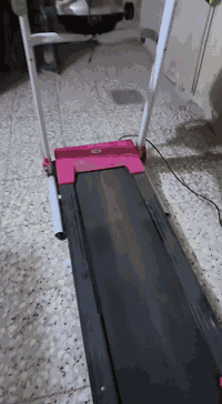 للبيع كل حاجه وسعره الحاجة إلى اتعجبك أخذ إله صوره وادخلي خاص وتد اللون أو إتصال ( ***********
