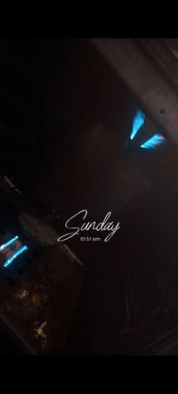 طباخ • شغال