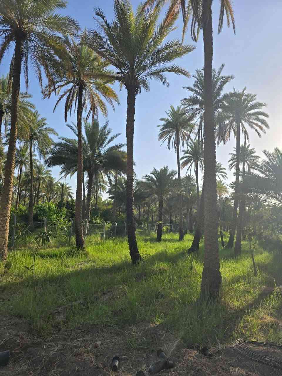 دونم 2500 متر  الحسينية شارع زينب الكبرى عمود 315 بعد كنطرة الابراهيمية ب 500 متر 
خلف التجاري واجهة 18 متر واجهة حجر باب مسيج بالكامل  سند 25 شارع الشهداء قرب مضيف العناز
سعر ١٦٥
تواصل خاص او الاتصال 
***********
