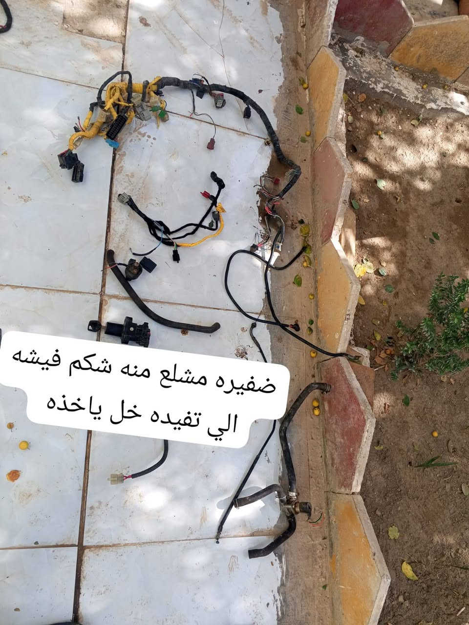 غراض امفوراي
‏‪0787 335 7526‬‏
